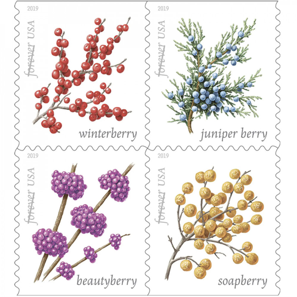 (2019) USPS Winter Berries First Class Forever Postage Stamps